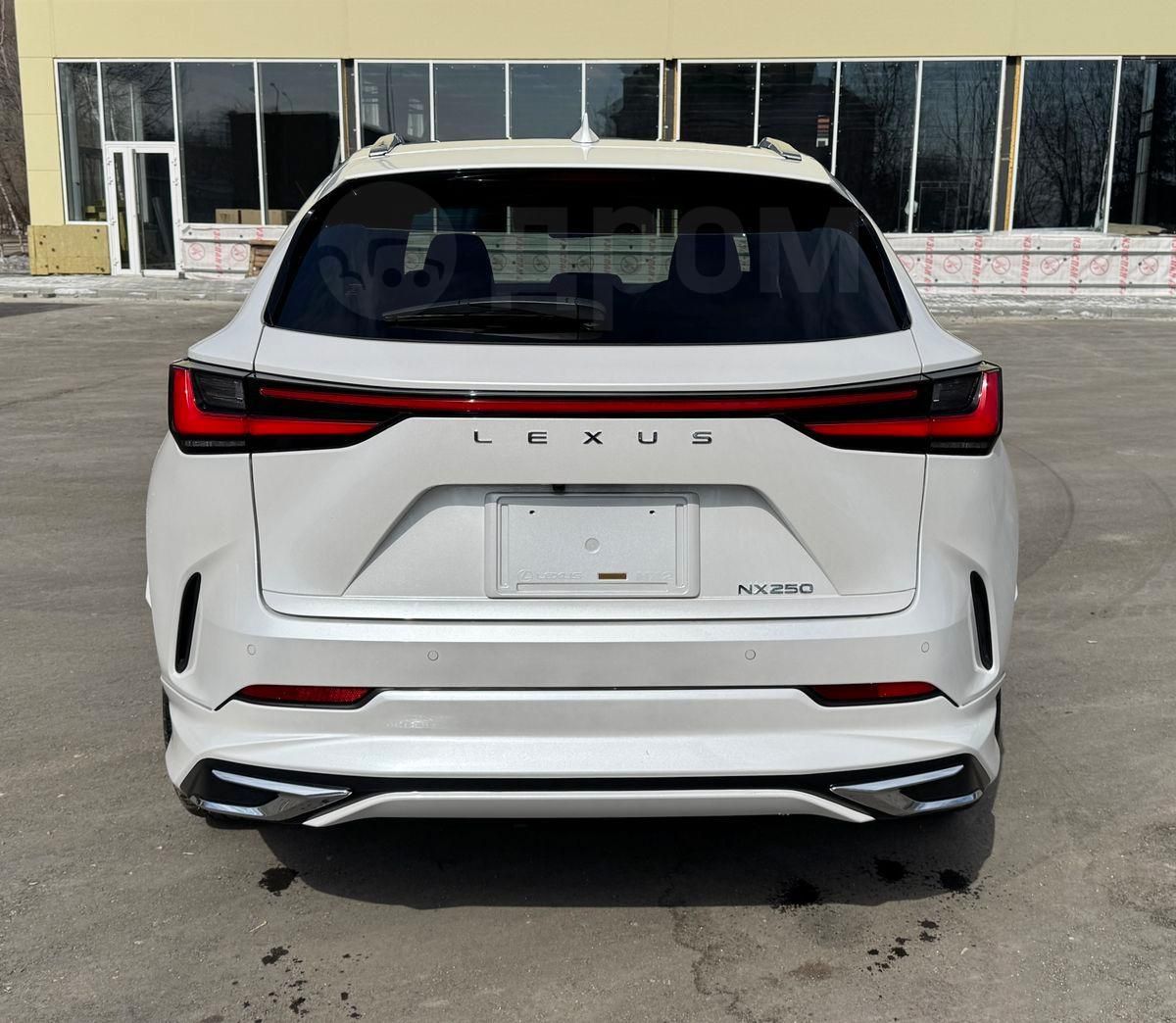 Lexus NX250, 2022