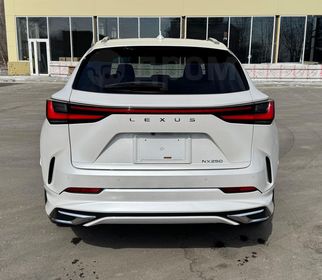 Lexus NX250, 2022