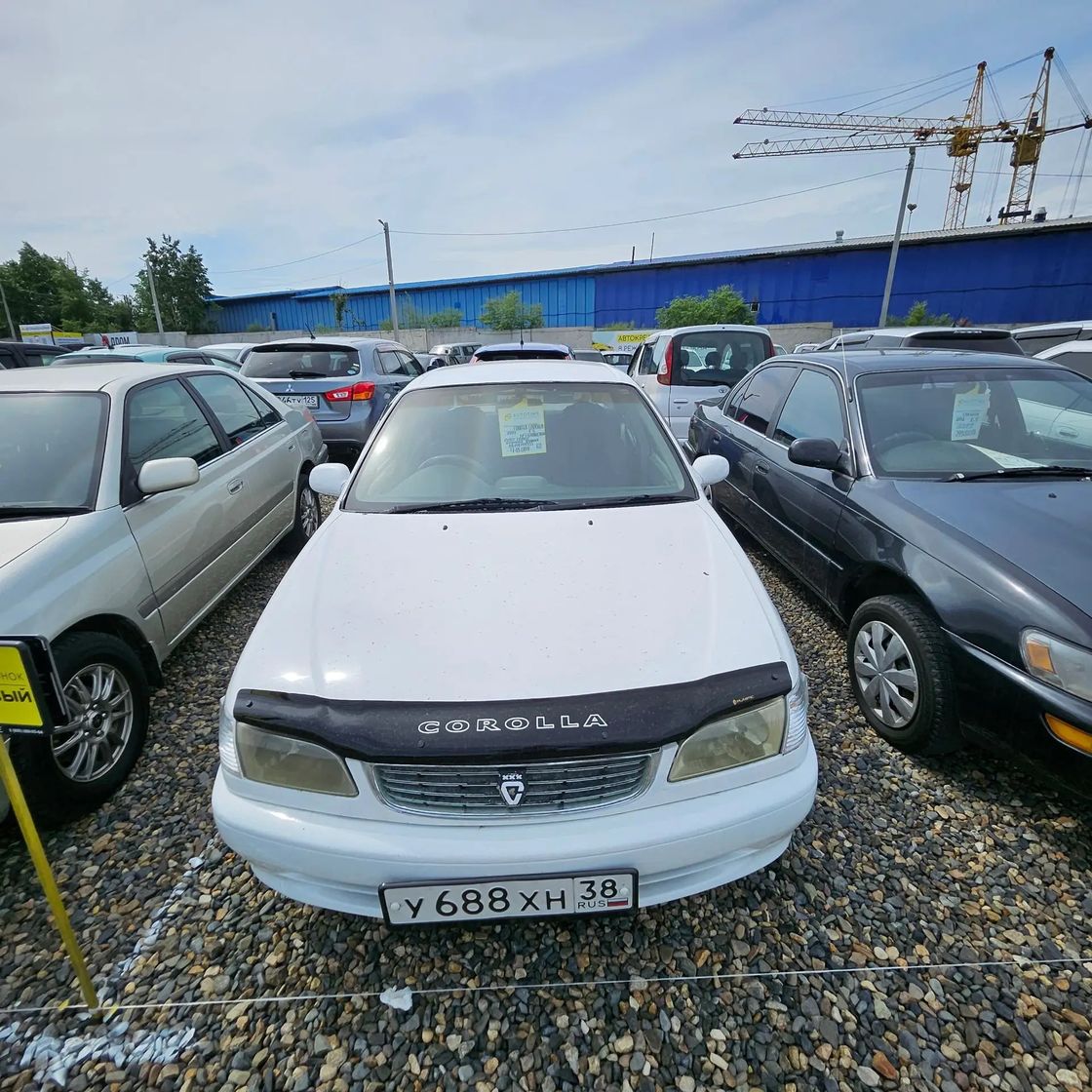 Toyota Corolla, 1999