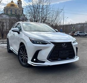 Lexus NX250, 2022