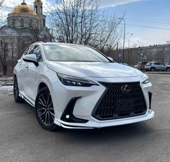 Lexus NX250, 2022