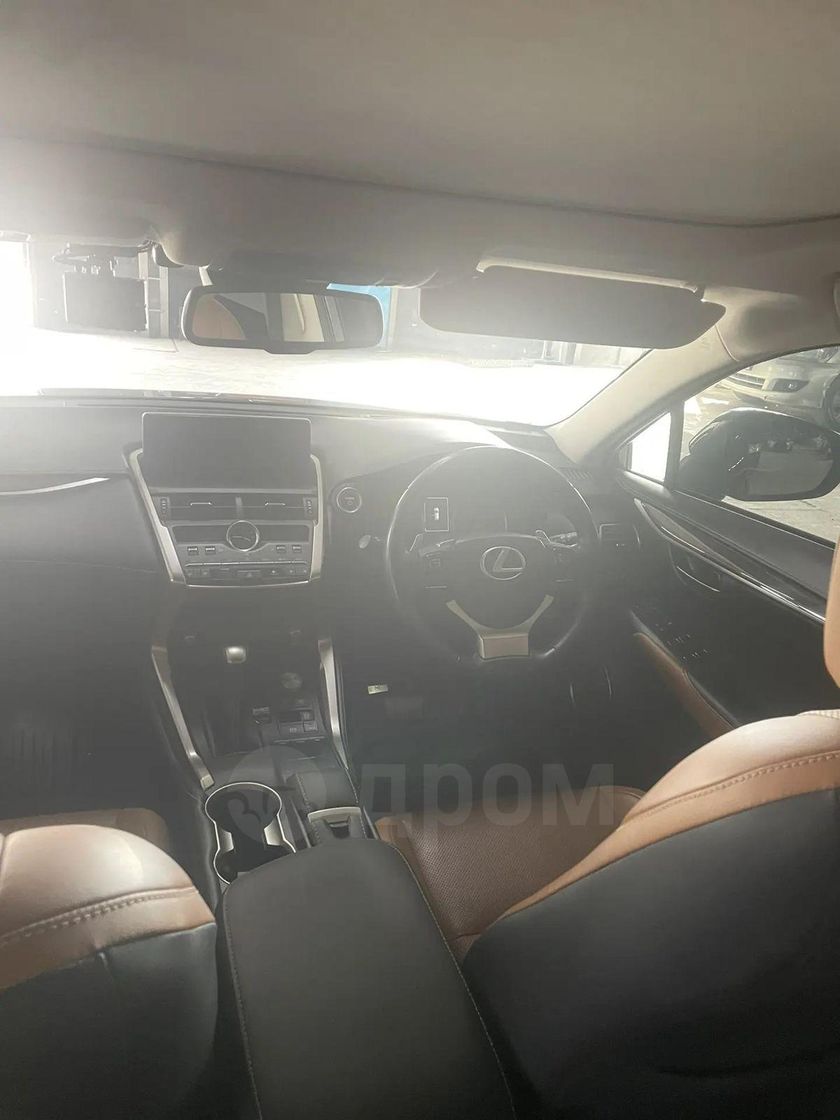 Lexus NX300h, 2019