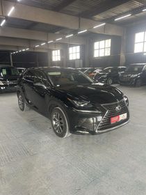 Lexus NX300h, 2019