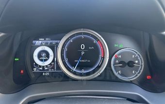 Lexus RX300, 2019