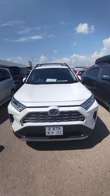 Toyota RAV4, 2019