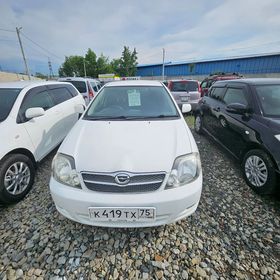 Toyota Corolla Fielder, 2004