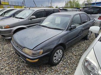 Toyota Corolla, 1991