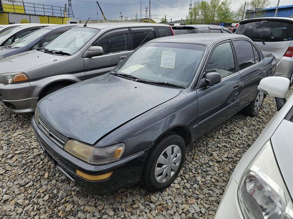 Toyota Corolla, 1991