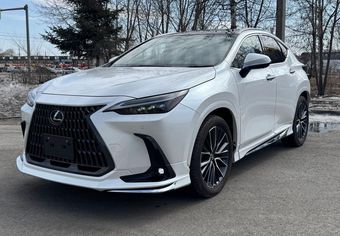 Lexus NX250, 2022