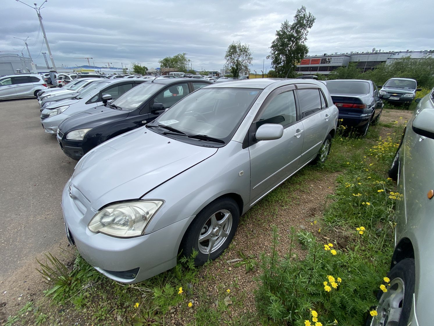 Toyota Corolla Runx, 2006
