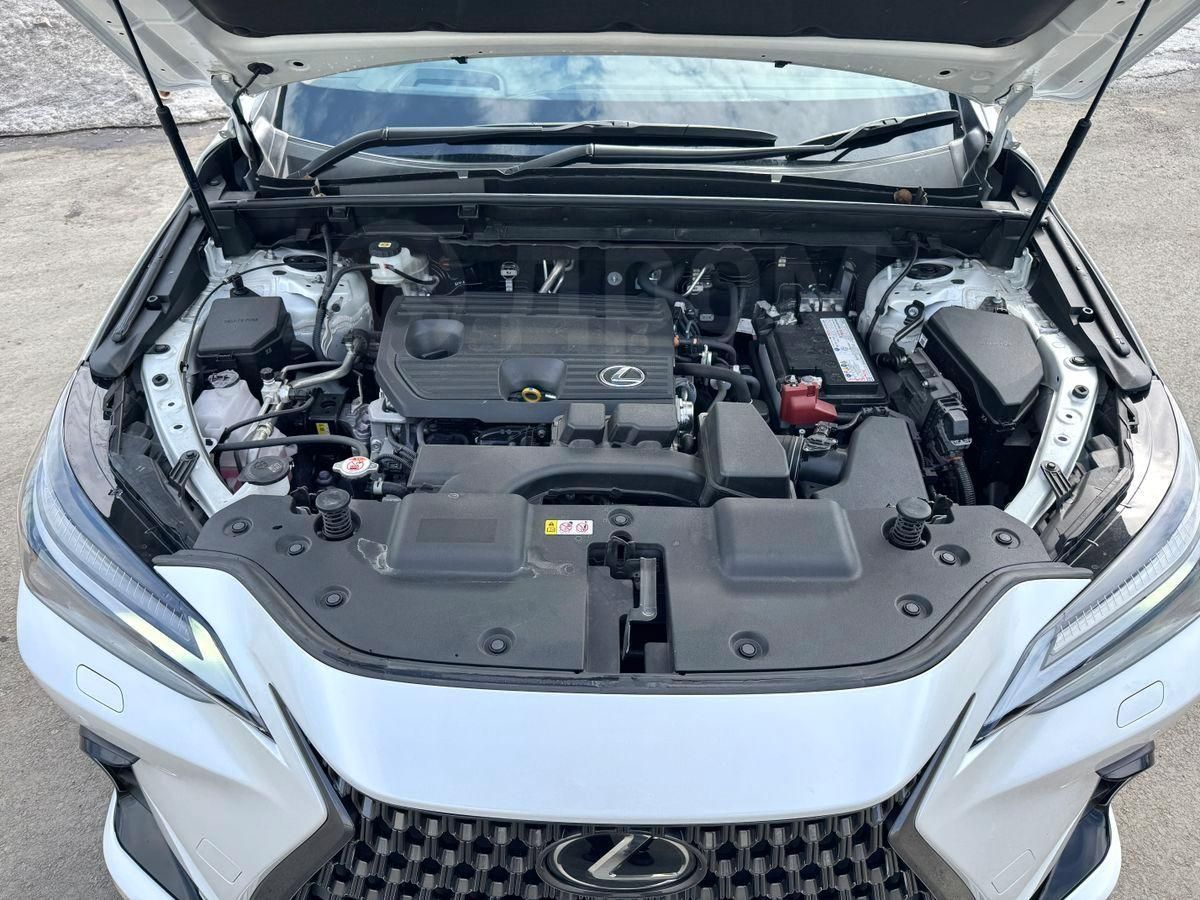 Lexus NX250, 2022