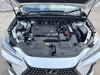 Lexus NX250, 2022
