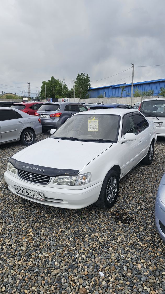 Toyota Corolla, 1998