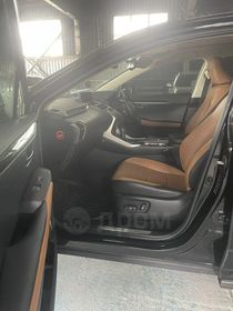 Lexus NX300h, 2019