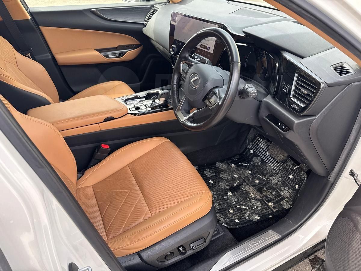 Lexus NX250, 2022
