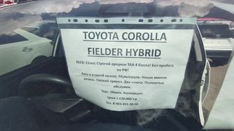 Toyota Corolla Fielder, 2022